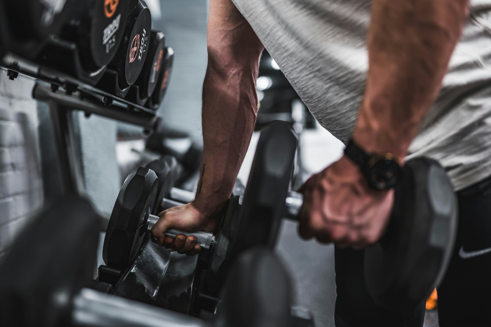 OneFit Academia Equipe